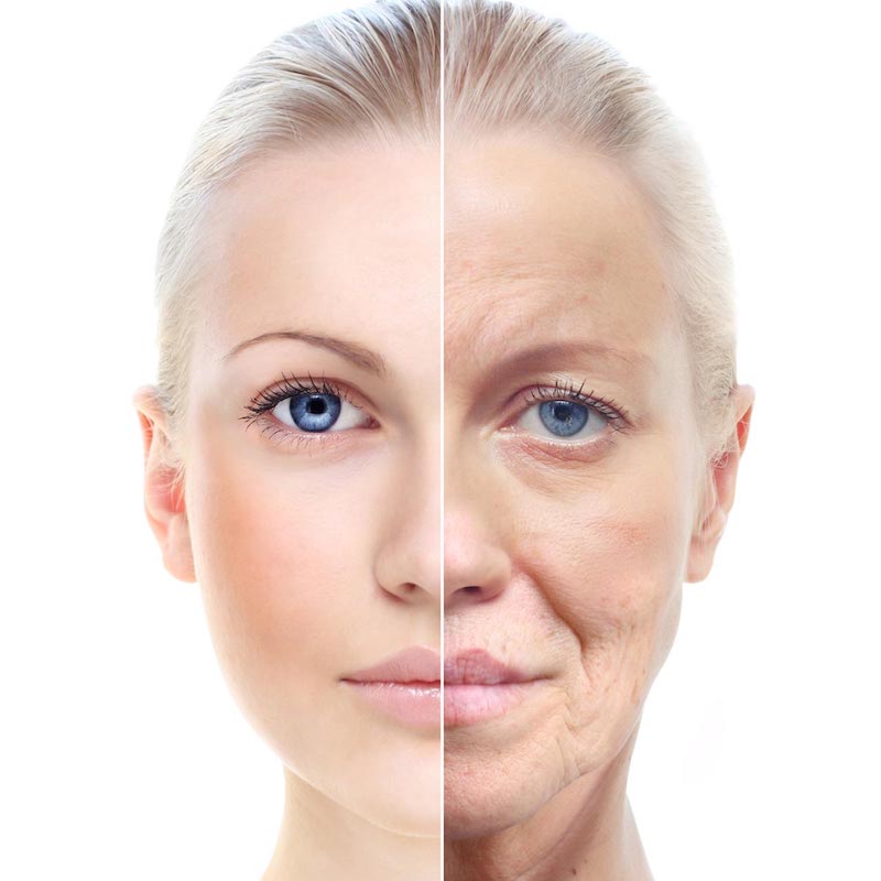 Massage Therapy Image